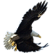 Eagle Accounts Group, Inc